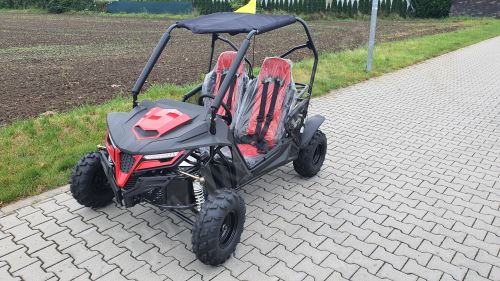 Dětská Buggy Cheetah4Kids 2, 208ccm, věk jezdce 10+ červená (21)