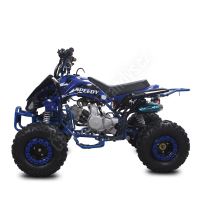 Dětská čtyřtaktní čtyřkolka ATV Speedy 125ccm, 1 rych. poloautomat, 7 kola, modrá (1)