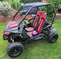 Dětská Buggy Cheetah4Kids 2, 208ccm, věk jezdce 10+ červená (12)