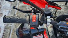 Dětská čtyřtaktní čtyřkolka ATV Warrior DELUX 125ccm, 3 rych. poloaut. 8 kol, červená (22)