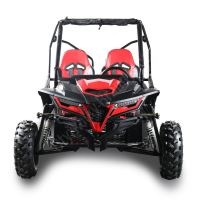 Dětská Buggy Cheetah4Kids 2, 208ccm, věk jezdce 10+ červená (1)