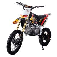Pitbike MiniRocket Motors CRF110 14/12 125ccm