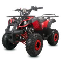 Dětská čtyřtaktní čtyřkolka ATV Toronto 125ccm, 1 rych. poloautomat, 7 kola, červená Dětská čtyřtaktní čtyřkolka ATV Toronto 125ccm, 1 rych. poloautomat, 7 kola, červená