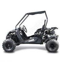 Dětská Buggy Cheetah4Kids 2, 208ccm, věk jezdce 10+ modrá (7)