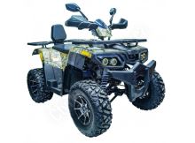 Čtyřkolka Sonic 200cc 1G10 CVT variátor 10 kola Tree Camo