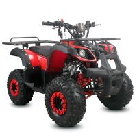 Dětská čtyřtaktní čtyřkolka ATV Toronto 125ccm, 1 rych. poloautomat, 7 kola, červená (3)