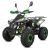 Dětská čtyřtaktní čtyřkolka ATV Warrior125ccm zelená 1 rych. poloautomat 8&quot; kola