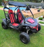 Dětská Buggy Cheetah4Kids 2, 208ccm, věk jezdce 10+ červená (15)