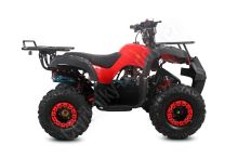 Dětská čtyřtaktní čtyřkolka ATV Toronto 125ccm, 1 rych. poloautomat, 7 kola, červená (4)
