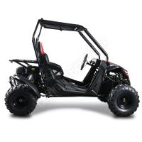 Dětská Buggy Cheetah4Kids 2, 208ccm, věk jezdce 10+ červená (4)
